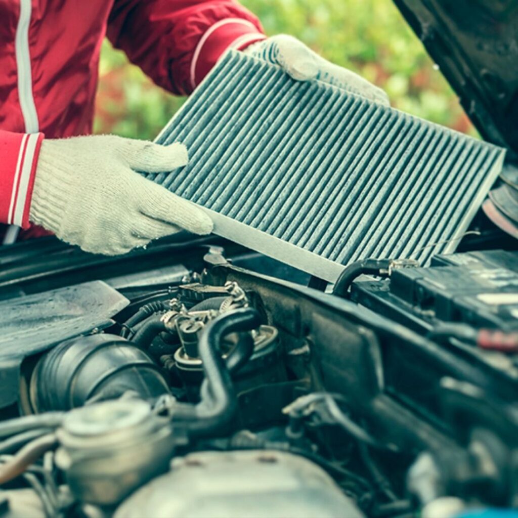 whatsapp image 2025 12 13 at 11.11.27 (4)